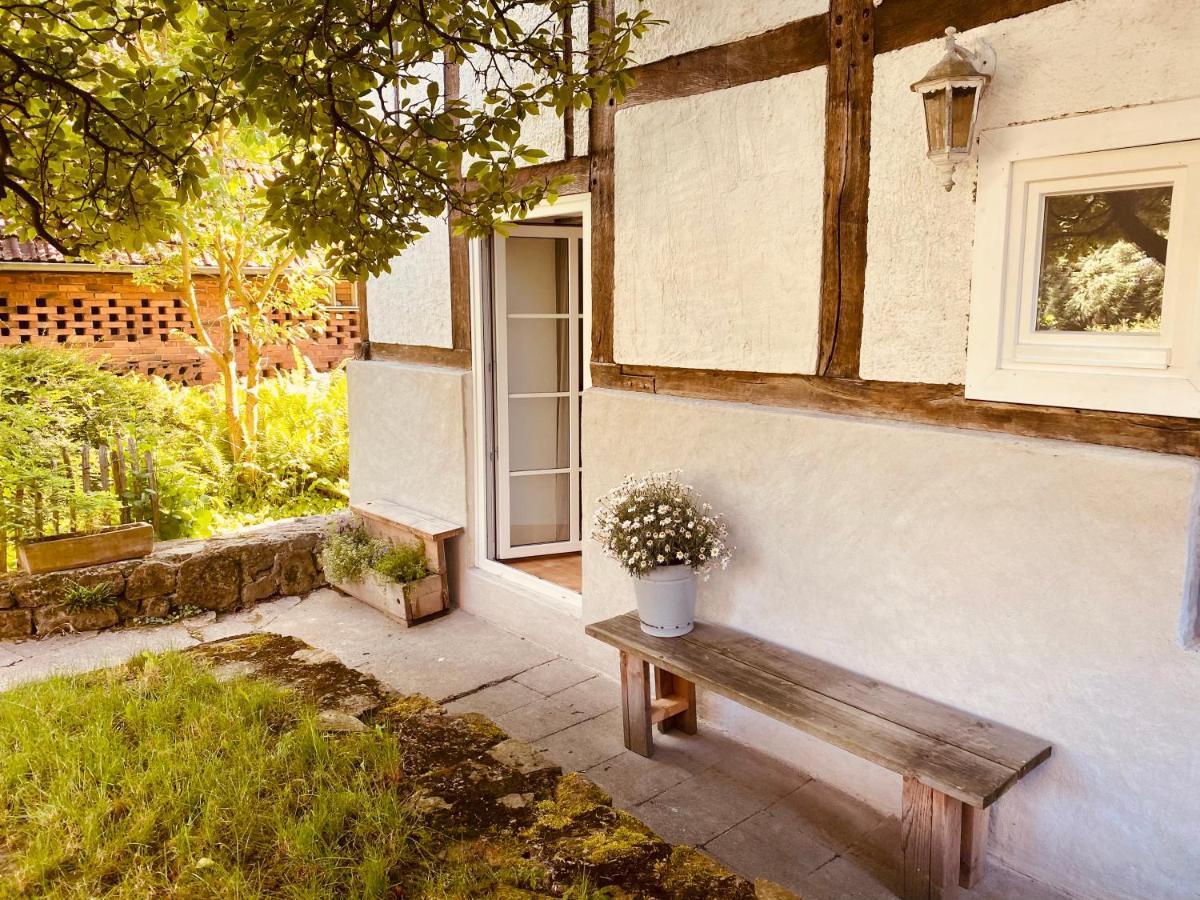Gemuetliches Ferienhaus Im Extertal/ Lippe Exterior photo